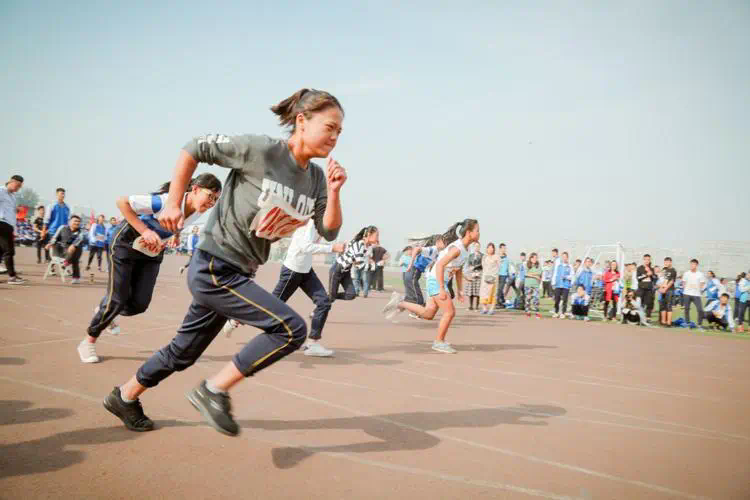网球拍怎么选大学生进阶